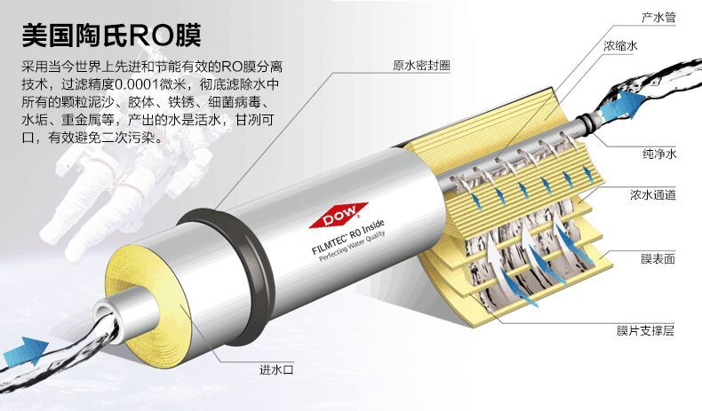 陶氏04.jpg