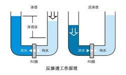 反原理.jpg