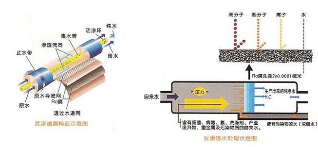 電子工業91免费看片APP